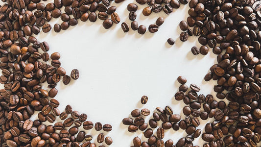 Arabica vs robusta: wat is het verschil tussen deze soorten koffiebonen?