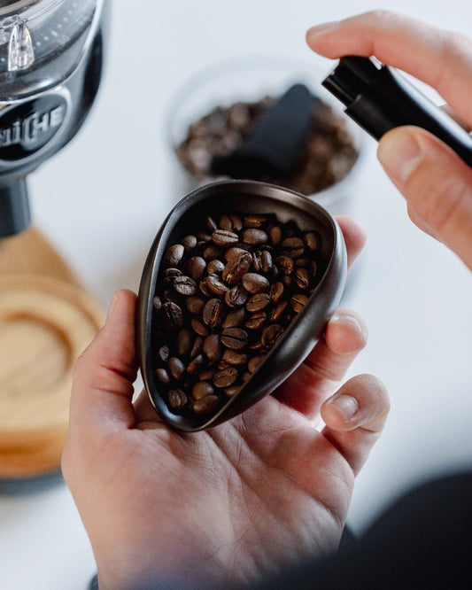 Barista accessory set with RDT spray for misting your coffee beans