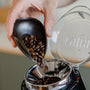 Coffee dosing tray used to pour coffee beans into Niche bean grinder