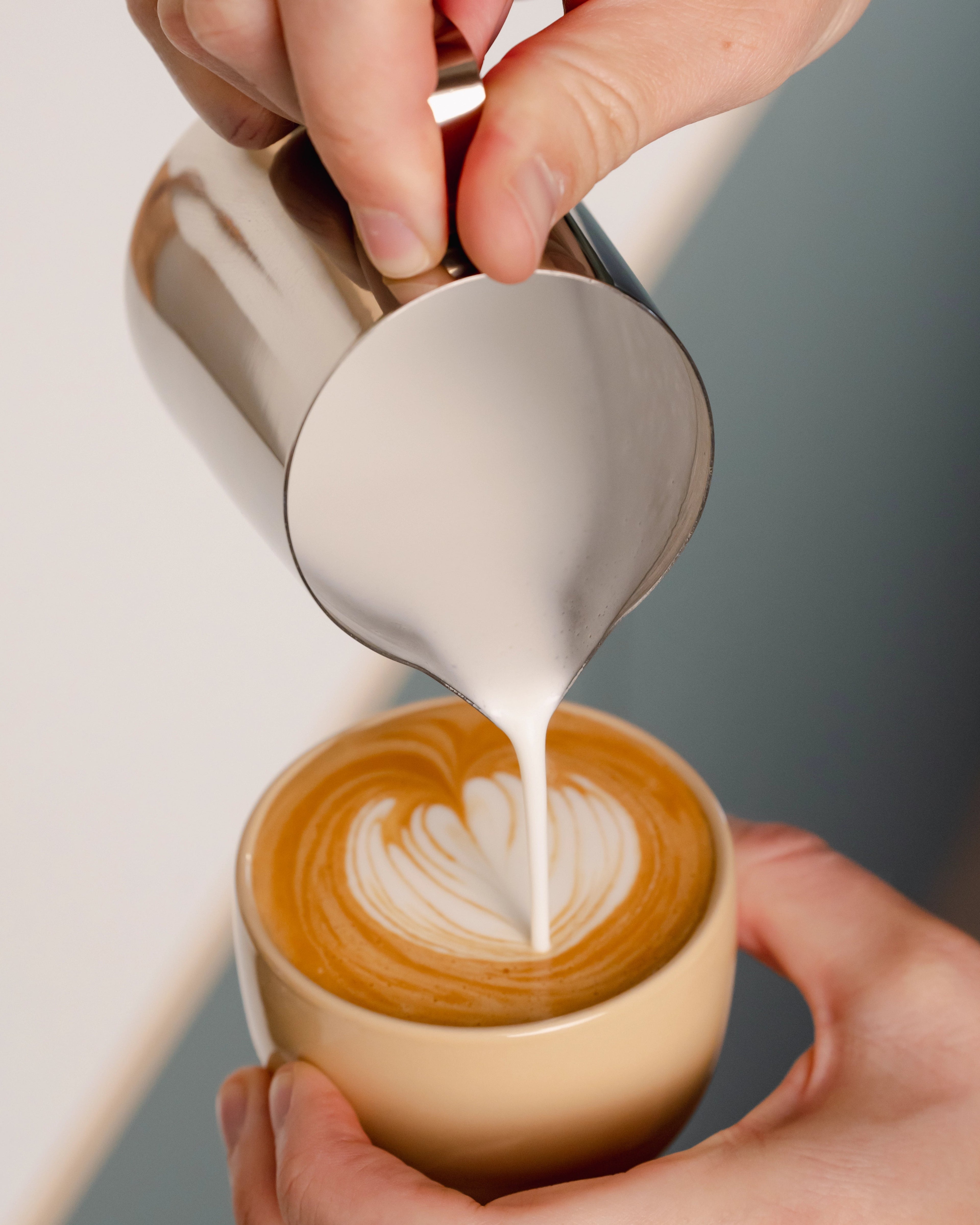 Milk Frothing Jug Set