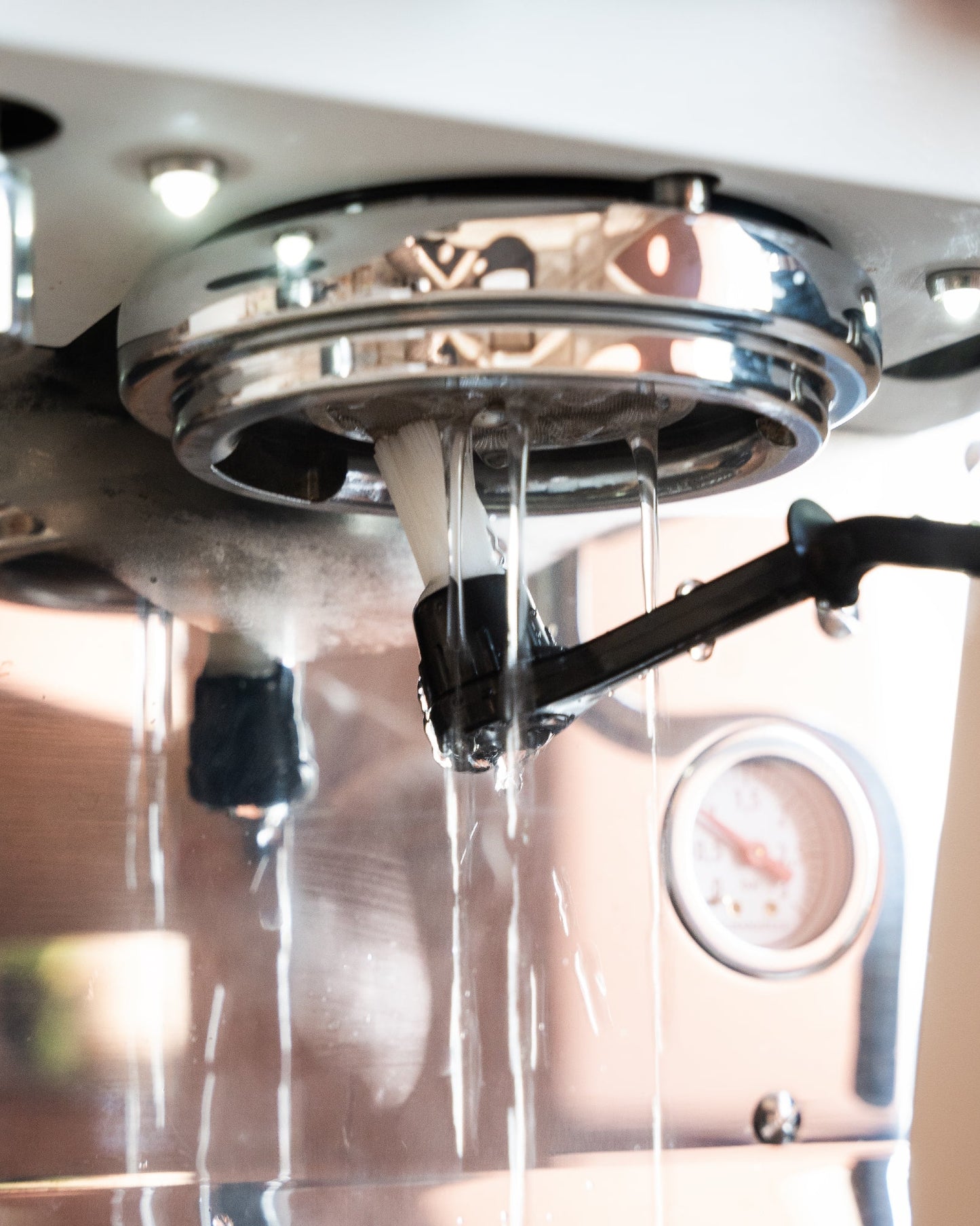 Replacement group head brushes