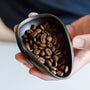 Vochtige koffiebonen en Coffee tray na gebruik RDT spray bottle van Barista-Essentials