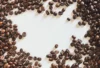 types-of-coffee-beans-arabica-vs-robusta-explainer