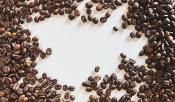 Types of coffee beans and the difference between arabica vs robusta